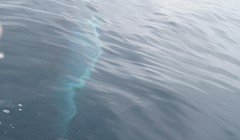 island 2016 029