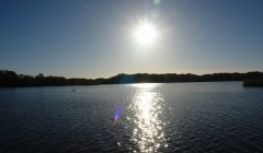 sprottenfaenger   blekinge natur 1