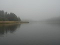 sprottenfaenger   blekinge natur 13