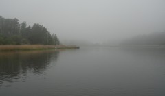 sprottenfaenger   blekinge natur 13