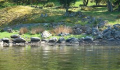 sprottenfaenger   blekinge natur 20