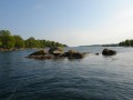 sprottenfaenger   blekinge natur 22