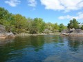 sprottenfaenger   blekinge natur 23
