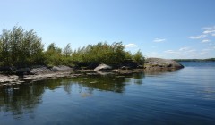 sprottenfaenger   blekinge natur 25