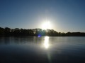 sprottenfaenger   blekinge natur 26