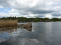 sprottenfaenger   blekinge natur 28