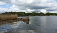 sprottenfaenger   blekinge natur 28