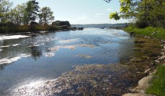 sprottenfaenger   blekinge natur 36