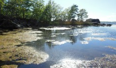 sprottenfaenger   blekinge natur 37