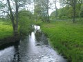 sprottenfaenger   blekinge natur 40