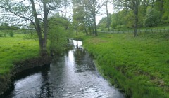 sprottenfaenger   blekinge natur 40
