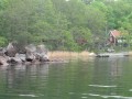 sprottenfaenger   blekinge natur 46