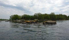 sprottenfaenger   blekinge natur 5
