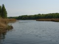 sprottenfaenger   blekinge natur 6