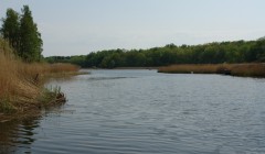 sprottenfaenger   blekinge natur 6