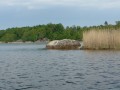 sprottenfaenger   blekinge natur 8