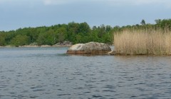sprottenfaenger   blekinge natur 8
