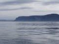 island 2016 157