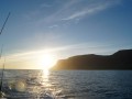 island 2016 362