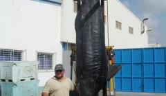 cave 22 720 lbs blue marlin