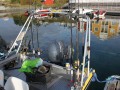 norge 2011 054