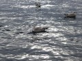 norge 2011 072