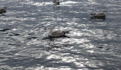 norge 2011 072