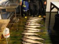 norge 2011 081