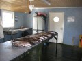 norge 2011 099