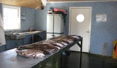 norge 2011 099