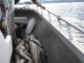 norge 2011 103