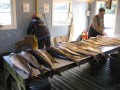 norge 2011 111