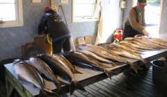 norge 2011 111