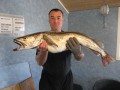 norge 2011 112