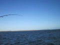 bodden20131111  35