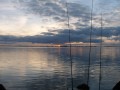 bodden20131111  53