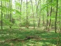 sprottenfaenger   blekinge natur 49