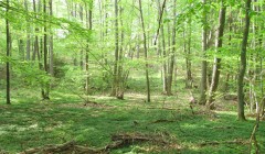 sprottenfaenger   blekinge natur 49