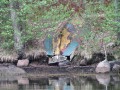 sprottenfaenger   blekinge natur 52