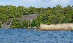 schweden 20110521 28 364