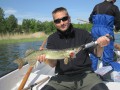 schweden 20110521 28 371