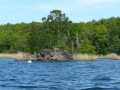 schweden 20110521 28 383