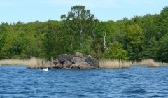 schweden 20110521 28 383