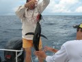 sechellen 10