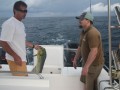 sechellen 5