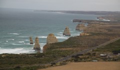 81