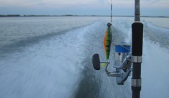 bodden 29