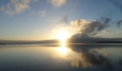 bodden nov 2014 23