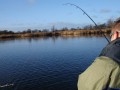 bodden nov 2014 26