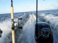 bodden nov 2014 32
